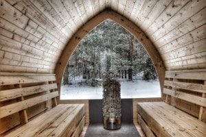 Outdoor sauna igloo design with full wall window for sale 12